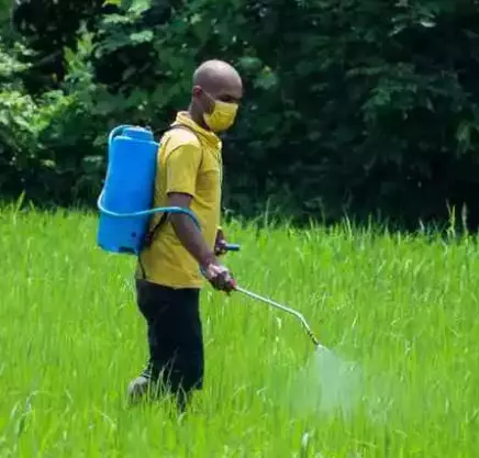 safe use of pesticide in agriculture