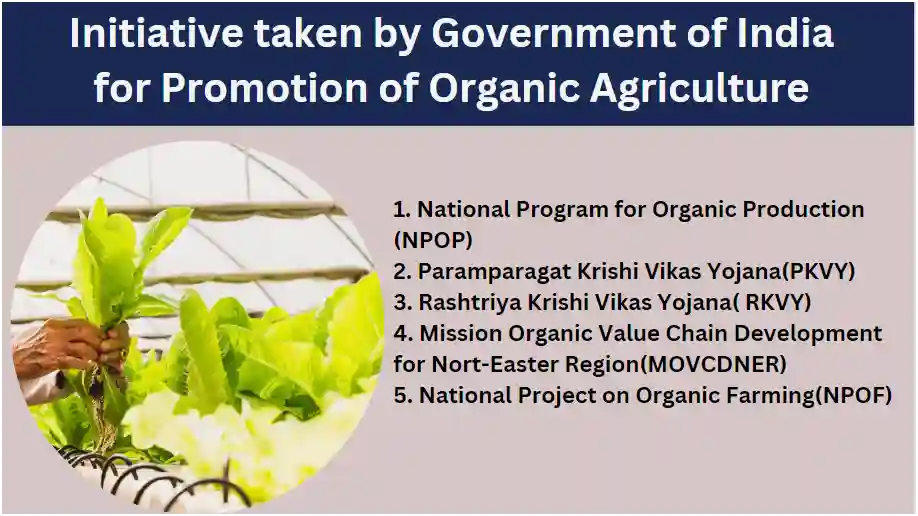 promote organic agriculture