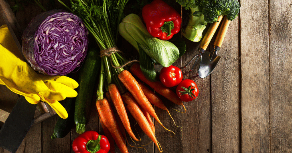 Organic Farming Techniques of vegetables